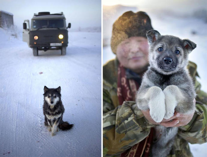 Kış Mevsiminin Bile Üşüdüğü Kuzeyin En Soğuk Köyü: Oymyakon -72
