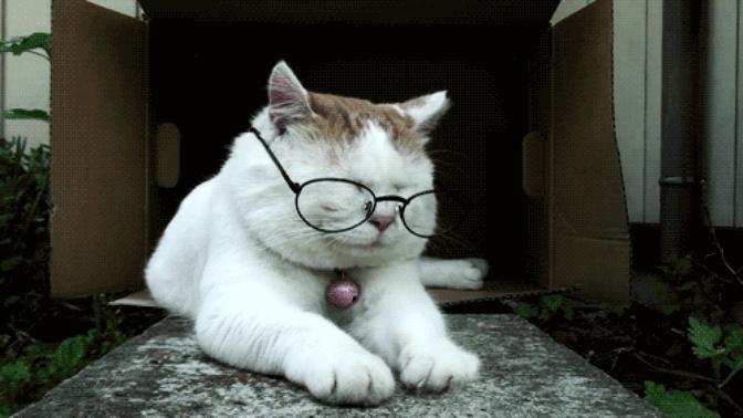 Stres Yok: YGS'ye Girecek Adaylara Tavsiyeler!
