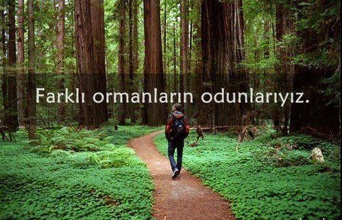 Bir Erkeği Kendine Bağlamak İsteyen Kadınların Bilmesi Gerekenler