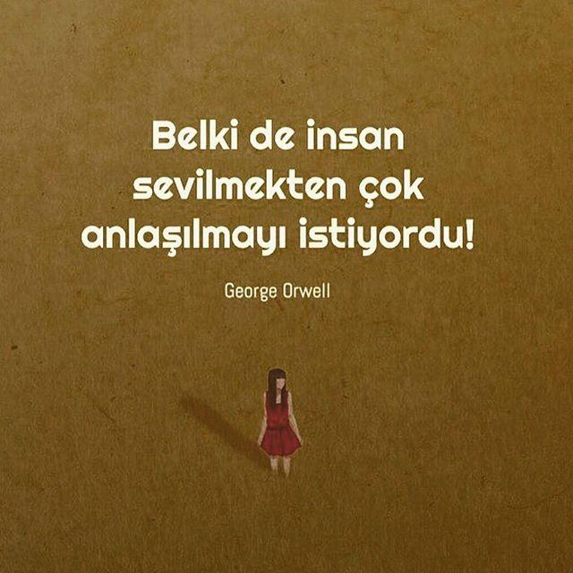 Türkiye'de Eş Cinsellerin Yaşadığı Sorunlar