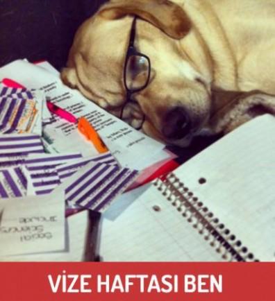 Bizi İnsanlıktan Çıkaran Vize Dönemleri!