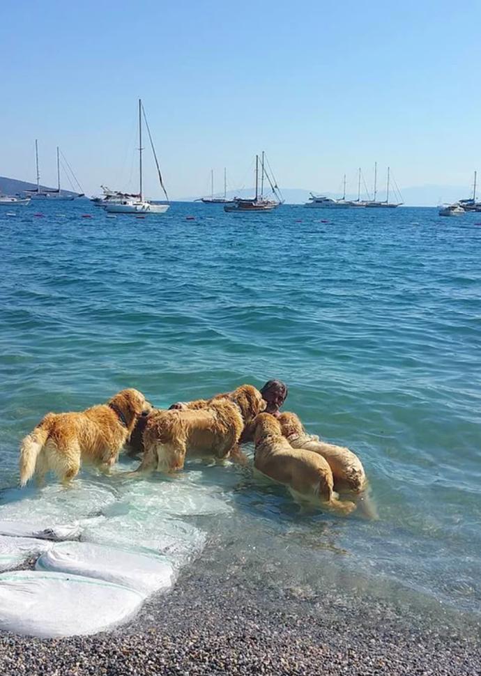 Bodrum'da Golden Çetesi Kuran Koca Yürekli Şenol Kaptan ile Tanışın