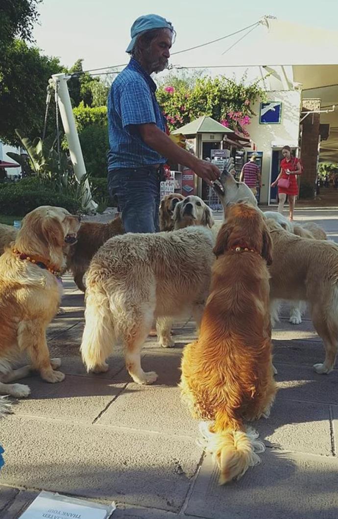 Bodrum'da Golden Çetesi Kuran Koca Yürekli Şenol Kaptan ile Tanışın