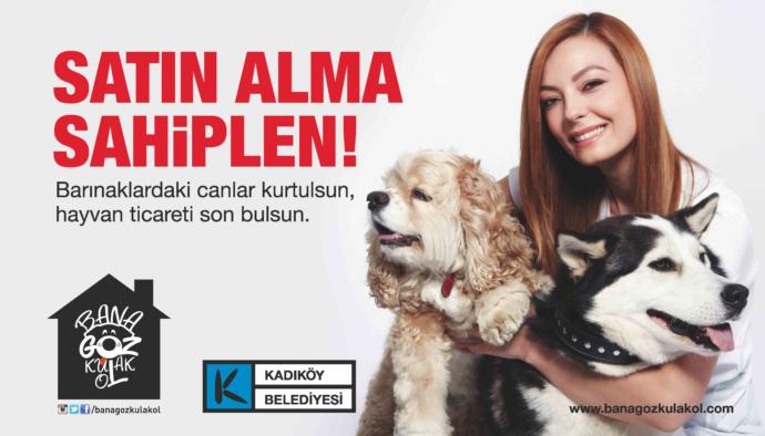 Bodrum'da Golden Çetesi Kuran Koca Yürekli Şenol Kaptan ile Tanışın