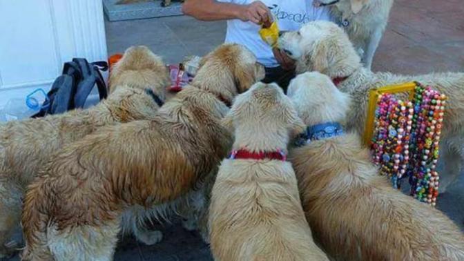 Bodrum'da Golden Çetesi Kuran Koca Yürekli Şenol Kaptan ile Tanışın