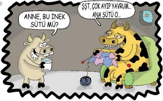 Sadece Annelere Ait Olan Olağanüstü Özellikler