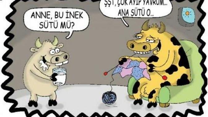 Sadece Annelere Ait Olan Olağanüstü Özellikler