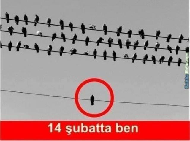 Sadece Sevgililer Gününü Sevgilisiz Geçireceklerin Güleceği Capsler