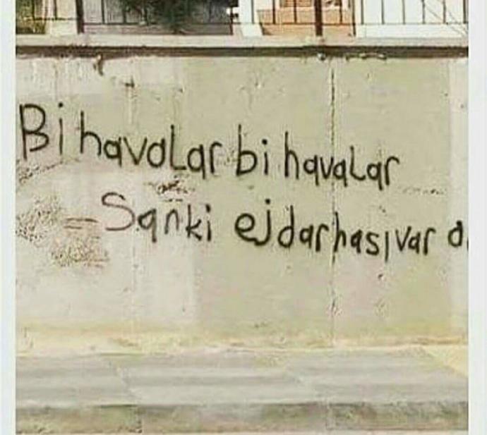 Ejderhamız Olsa Hayat Çok Daha Kolay Olur muydu?