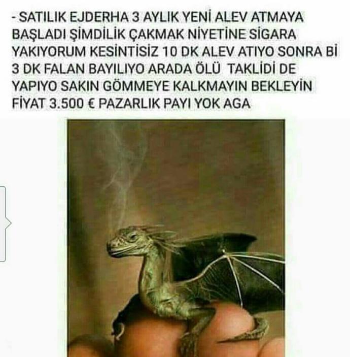 Ejderhamız Olsa Hayat Çok Daha Kolay Olur muydu?