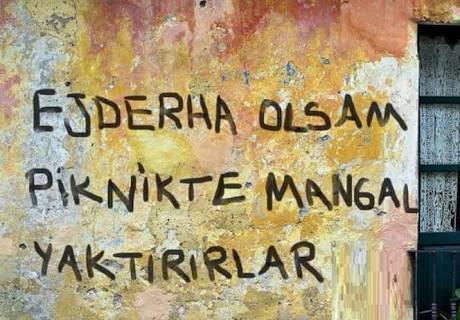 Ejderhamız Olsa Hayat Çok Daha Kolay Olur muydu?