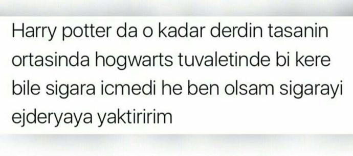 Ejderhamız Olsa Hayat Çok Daha Kolay Olur muydu?