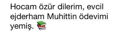 Ejderhamız Olsa Hayat Çok Daha Kolay Olur muydu?