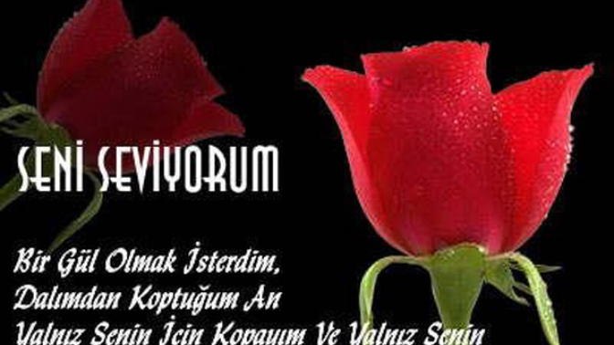 Sevgiyi kötüleyenler