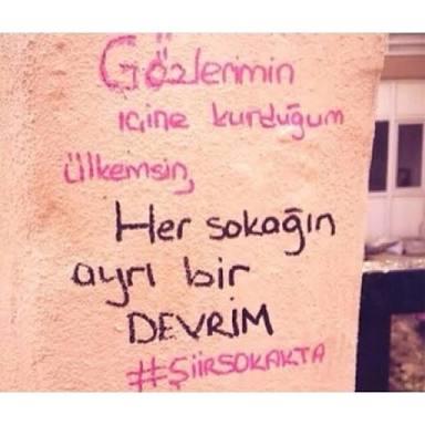 Bir Seni Sevdim Bir de Devrimi