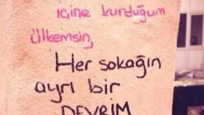 Bir Seni Sevdim Bir de Devrimi