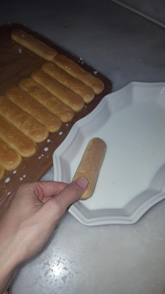 Kedi Dili İle Pratik Rulo Pasta