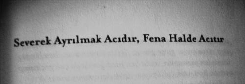 Severek Ayrılmak Acıyı Sevmektir