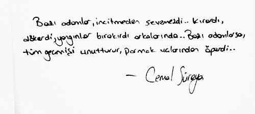 "Hediye İstemiyorum" Diyen Kız Arkadaşa Sevgililer Gününde Ne Alınır?