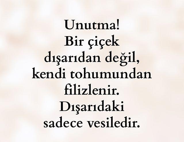 Motivasyonun İnsan Üzerindeki Etkileri