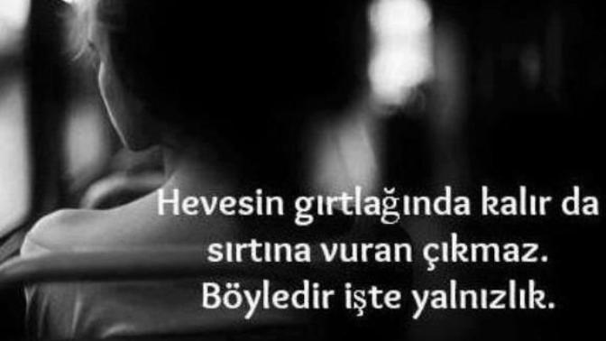 Utangaç Gencin Anatomisi