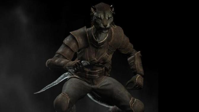 Skyrim'de Oynaması En Zevkli Karakter