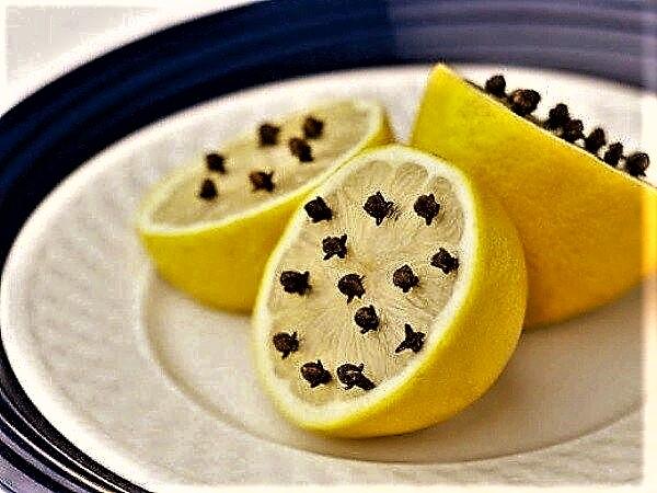 Bildiğimiz Limonun Bilmediğimiz Kullanım Alanları