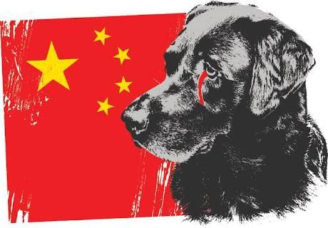 Dünyanın Kara Lekesi Olan Yulin Festivali!