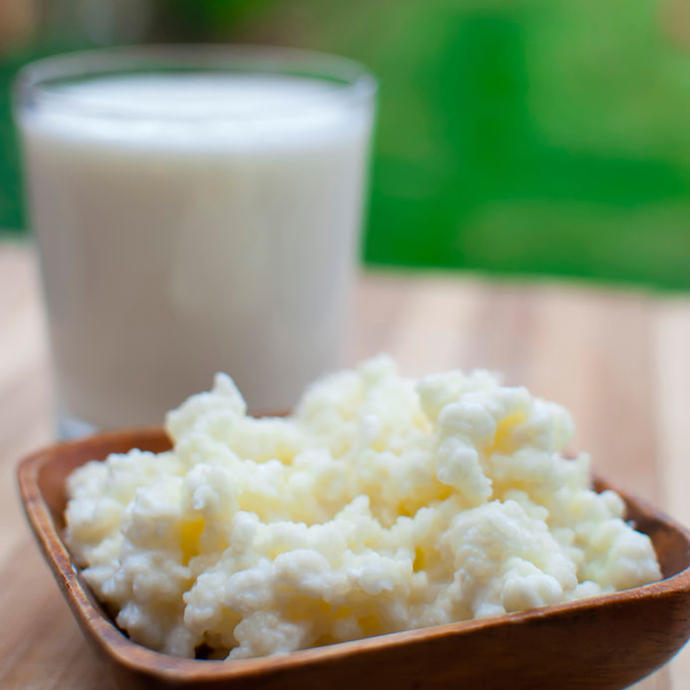 Bir Sindirim Harikası Kefir