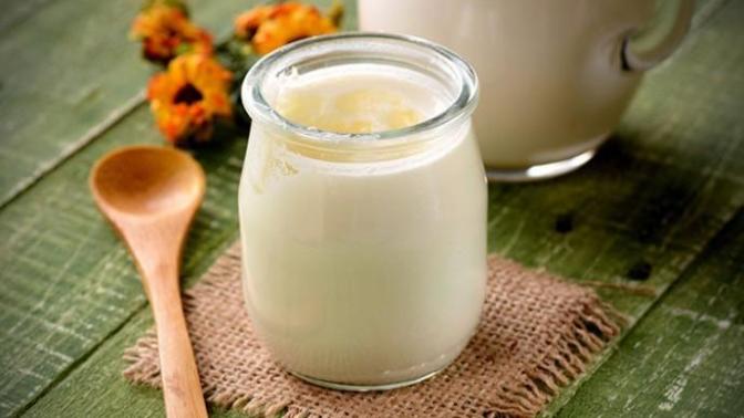 Bir Sindirim Harikası Kefir