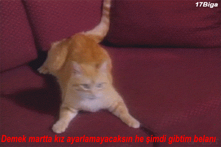 Kızların Yaydığı Elektrik Türüne Göre Yapmanız Gerekenler