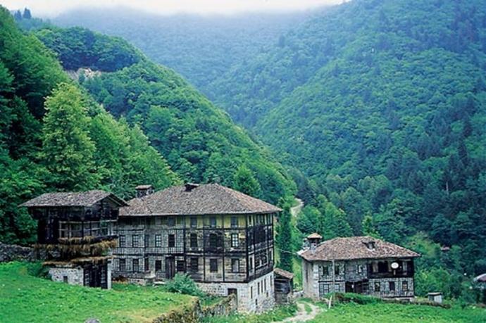 Yeşilin Tüm Tonlarını Görebildiğin Şehir: Bir Başkadır Rize
