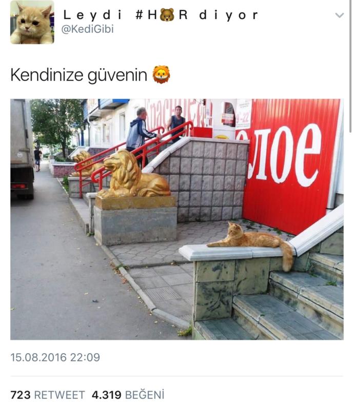 Twitter’da Hayatta Kalma Rehberi