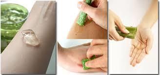 Mucize Gibi Mucize: Aloe Vera!
