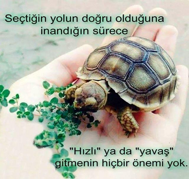 Değişim Ve Gelişim İçin Yapmanız Gerekenler
