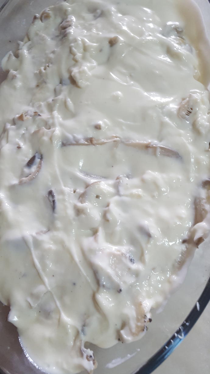 Tadı ve Kıvamı İle Harika: Beşamel Sosunda İstiridye Mantarlı Tavuk