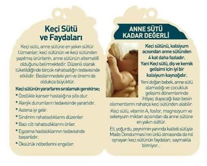 Keçi Sütünün Gizemi