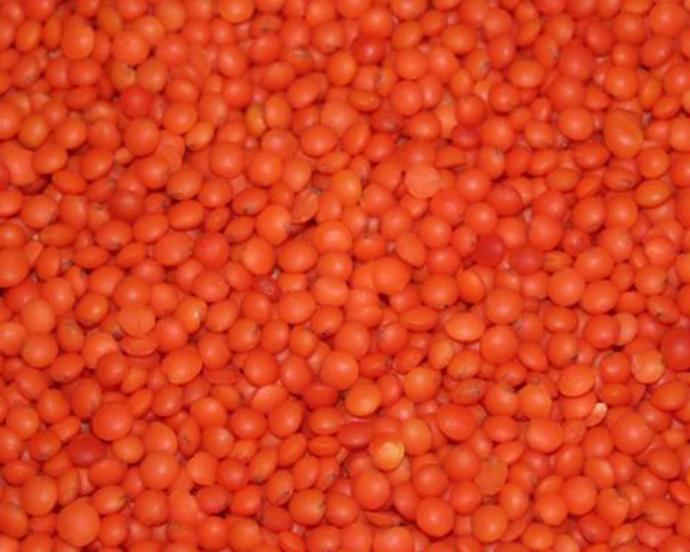 Mercimek ile Bulgurun Hemhali: Mercimek Köftesi