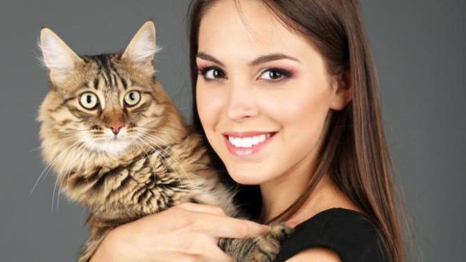 Oyuncu mu Oyuncu En Haylaz 5 Kedi Cinsini Tanıyalım!