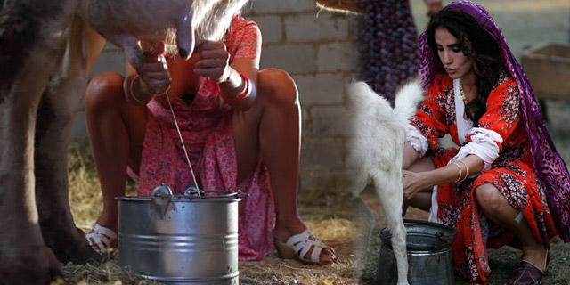 KizlarSoruyor'un En Popi Kız Üye Türleri