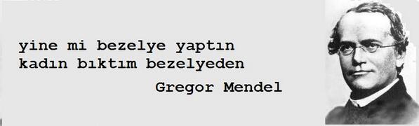 Ünlü Kişilerin Birbirinden Güzel Beyin Yakan Sözleri