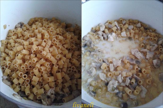 Mutfakta Erkek Var: Sütte Mantarlı, Tavuklu Makarna 🍜