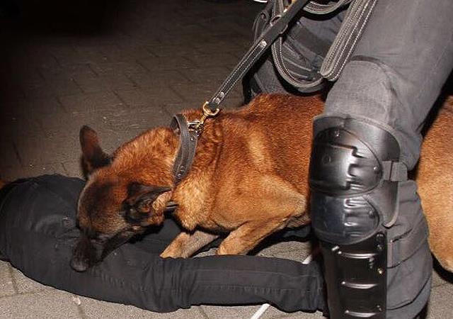 Hollanda ''Türklere Yaptığı Eylemler'' Sonucunda, Kendi Anayasasını Çiğnemiştir!