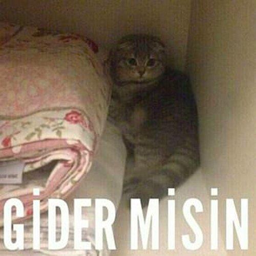 Bir Erkeğin Trip Atmasının 5 Sebebi