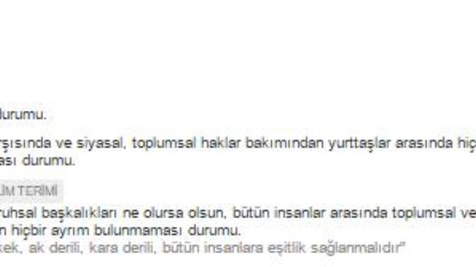 Feminizm Eşitçilik Akımı Değildir!