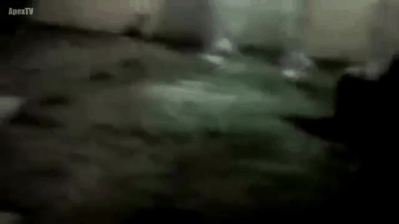 Dünya Genelinde Yaşanmış Sırrı Çözülemeyen Olaylar ve Varlıklar