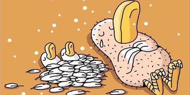 LYS'de Başarmak O Kadar da Zor Değil!