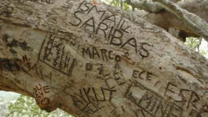 Yurdum İnsanının Başkalarının Garipsediği Davranışları