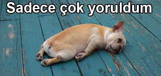 Şimdiye Kadar Söylenmiş En Saçma ve Klişe Ayrılık Cümleleri!