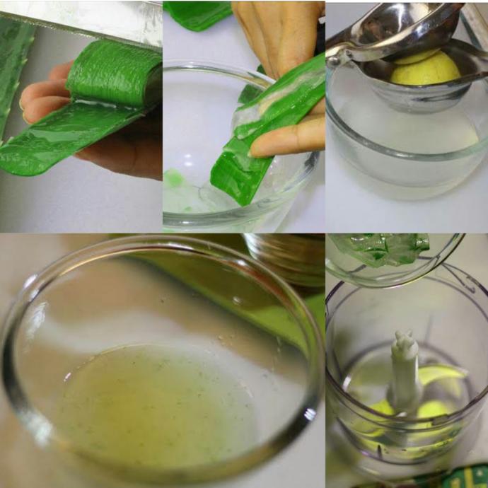 Mısırlıların 'Gençleştiren Bitki' Dedikleri Aloe Vera İle 2 Mucizevi Maske Tarifi!